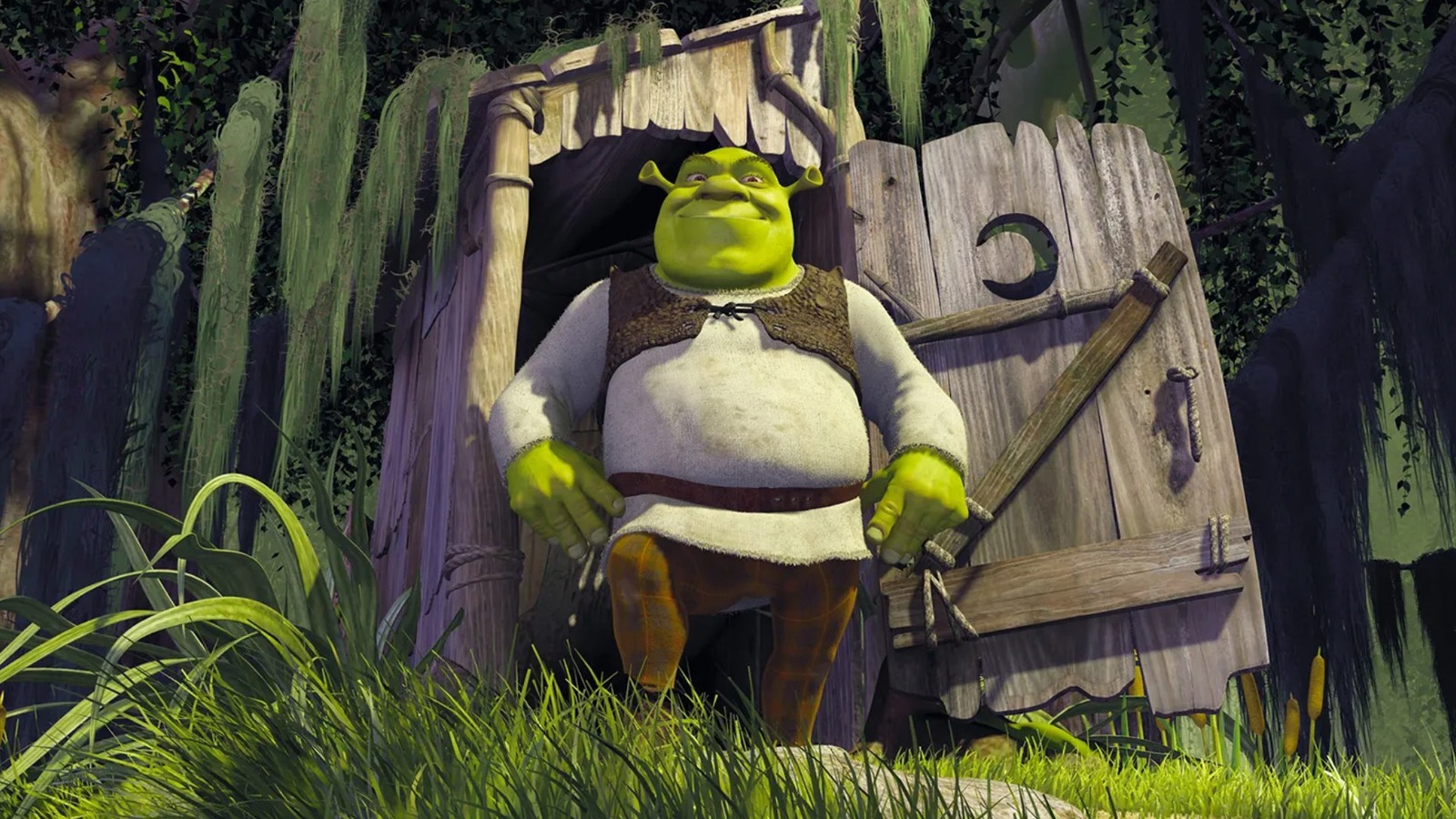 Shrek swamp